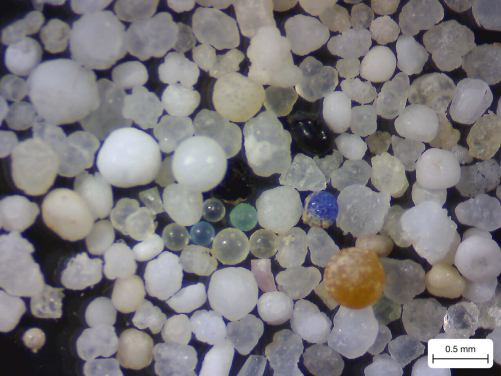 Microbeads recovered from water samples.
